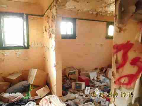 14394 Cruse (13)_m.jpg